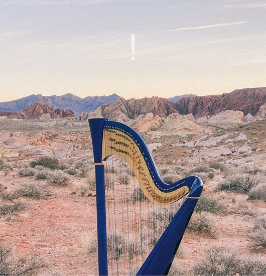 ! (Vinyle) - COMPILATION CLASSIQUE