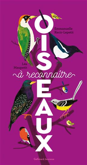 Oiseaux à reconnaître - EMMANUELLE KECIR-LEPETIT