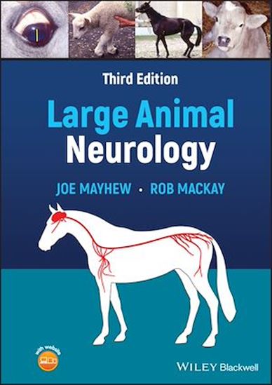Large Animal Neurology - ROB MACKAY - JOE MAYHEW