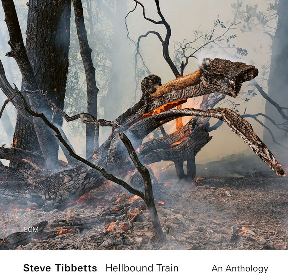 Hellbound Train - TIBBETTS STEVE