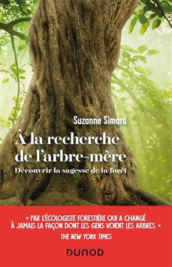 À la recherche de l&#39;arbre-mère - SUZANNE SIMARD