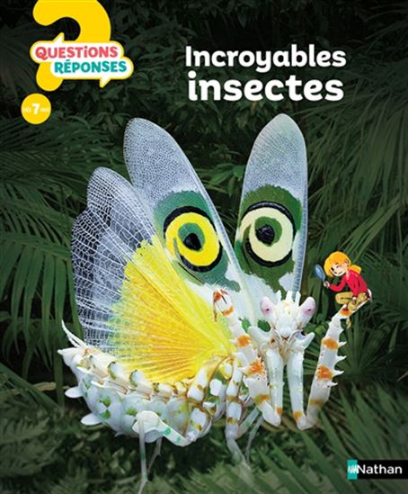 Incroyables insectes - AMANDA O'NEILL