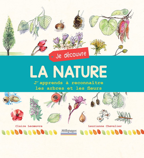 Je découvre la nature : plantes et animaux - CLAIRE LECOEUVRE - LAURIANNE CHEVALIER