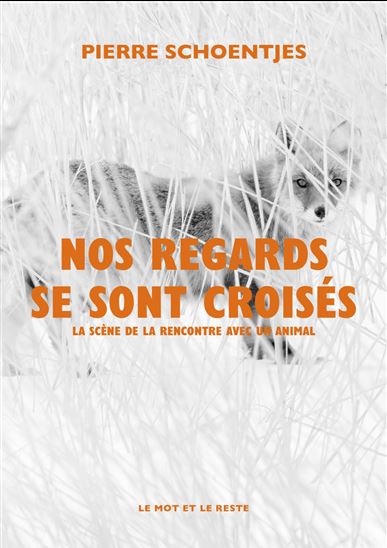 Nos regards se sont croisés : la scène de la rencontre avec un animalT - PIERRE SCHOENTJES
