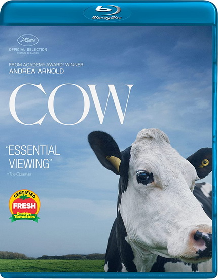 Cow (Blu-ray) - ANDREA ARNOLD