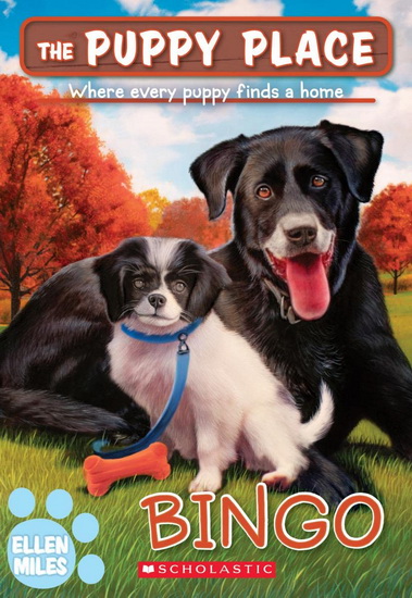 Bingo (The Puppy Place #65) - ELLEN MILES