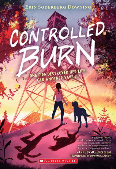 Controlled Burn - ERIN SODERBERG DOWNING