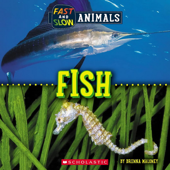 Fast and Slow: Fish (Wild World) - ERIC GERON