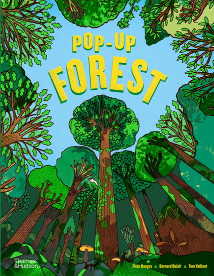 Pop-Up Forest - BERNARD DUISIT - TOM VAILLANT