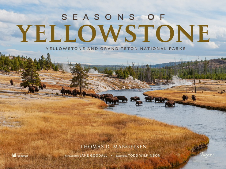 Seasons of Yellowstone - THOMAS D MANGELSEN - TODD WILKINSON