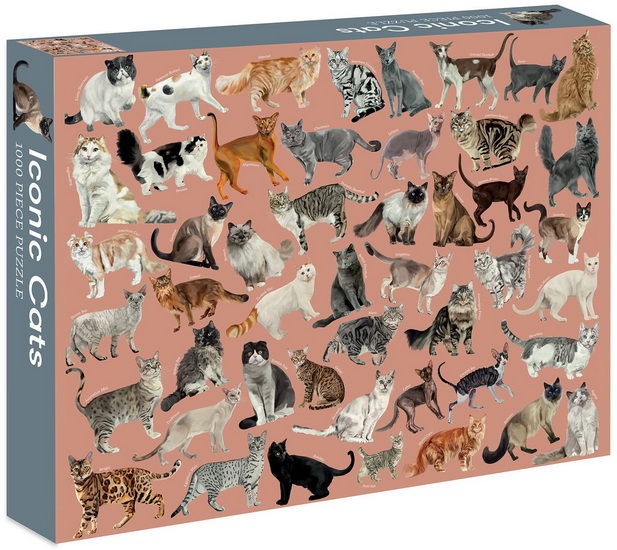 Iconic Cats - MARTA ZAFRA