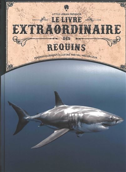 Le Livre extraordinaire des requins - BARBARA TAYLOR - SIMON MENDEZ