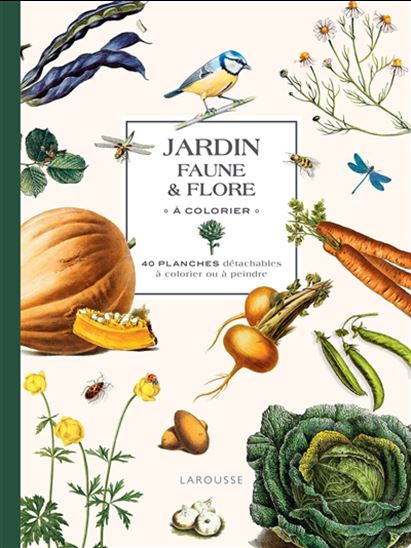Jardin : faune & flore à colorier : 40 planches détachables à colorier ou à peindre - COLLECTIF