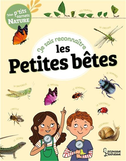 Je sais reconnaître les petites bêtes - SANDRA LEBRUN - MARY GRIBOUILLE