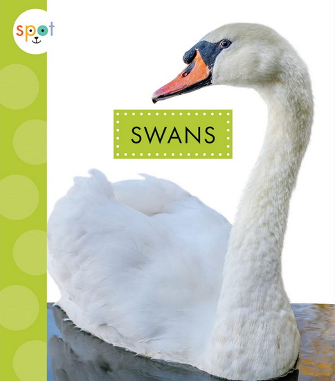 Swans - LISA AMSTUTZ