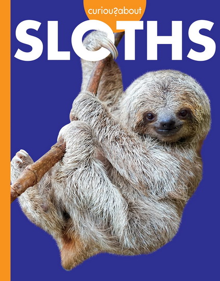 Curious about Sloths - AMY S HANSEN