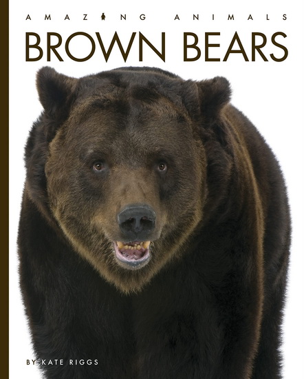 Brown Bears - KATE RIGGS