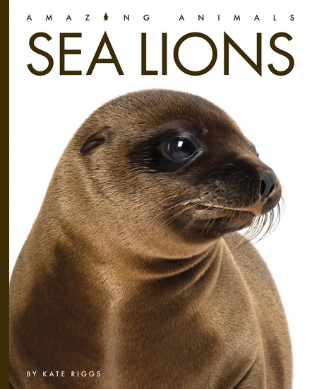Sea Lions - KATE RIGGS