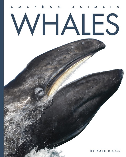 Whales - KATE RIGGS