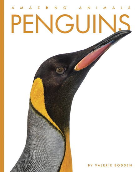 Penguins - VALERIE BODDEN