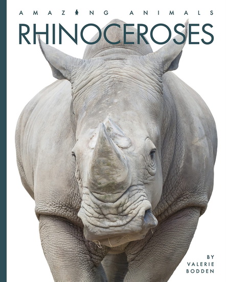 Rhinoceroses - VALERIE BODDEN