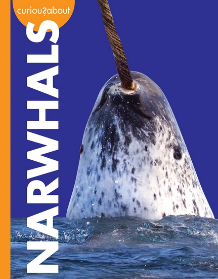 Curious about Narwhals - ANNIE C HOLDREN