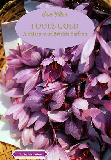 Fool's Gold - SAM BILTON
