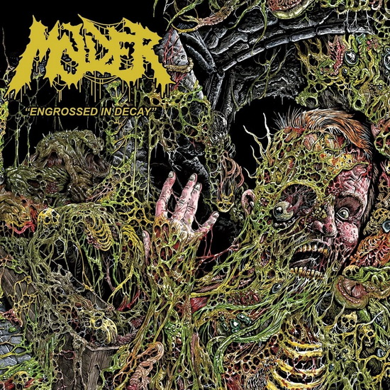 Engrossed In Decay - MOLDER