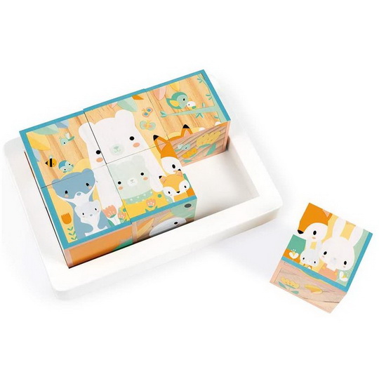 Barquette 6 cubes pure