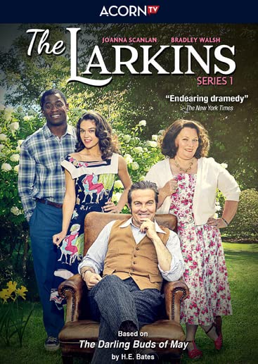 The Larkins : Series 1 - LARKINS (THE)