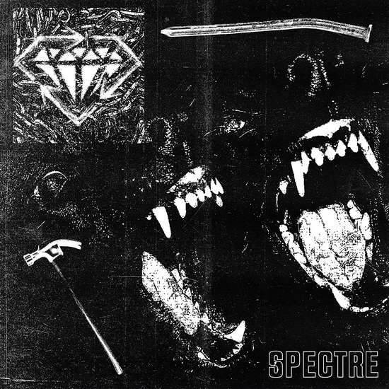 Spectre (Vinyle) - STICK TO YOUR GUNS