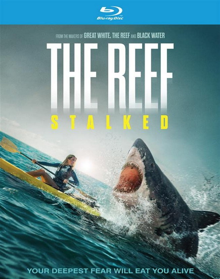 The Reef : Stalked (Blu-ray) - ANDREW TRAUCKI
