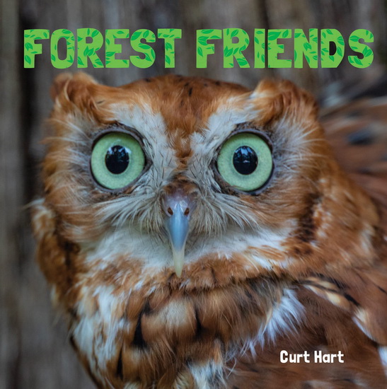 Forest Friends - CURT HART