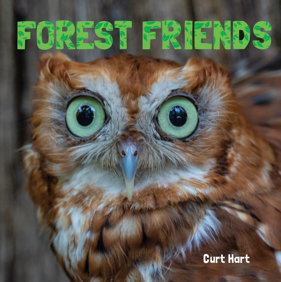 Forest Friends - CURT HART