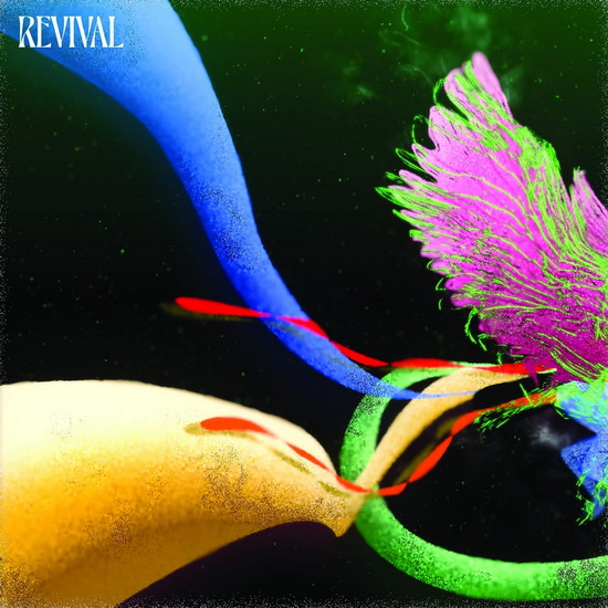 Revival - JUDAH AND THE LION