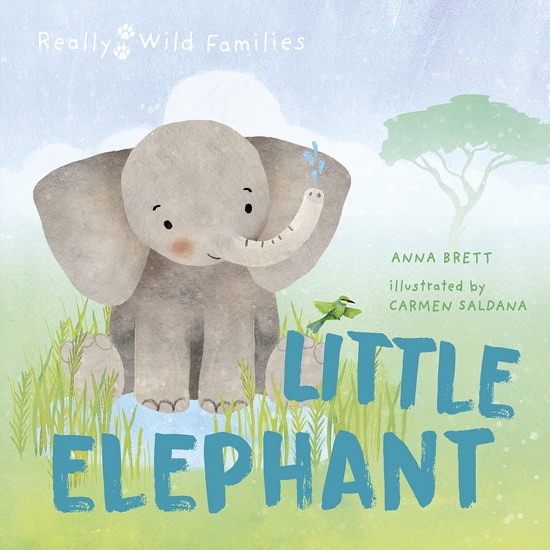 Little Elephant : A Day in the Life of a Elephant Calf - CARMEN SALDANA - ANNA BRETT
