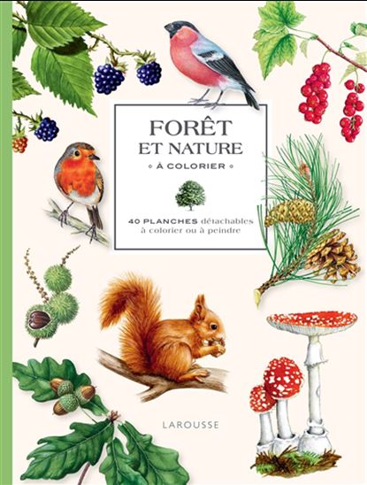 Forêt et nature à colorier : 40 planches détachables à colorier ou à peindre - COLLECTIF