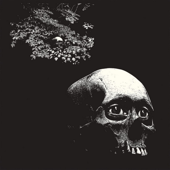 A Foul Form (Vinyle) - OSEES