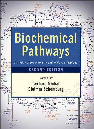 Biochemical Pathways: An Atlas of Biochemistry and Molecular 2e éd. - GERHARD MICHAL - DIETMAR SCHOMBURG