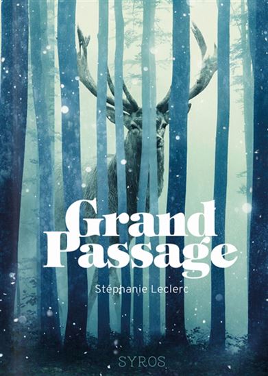 Grand Passage - STÉPHANIE LECLERC