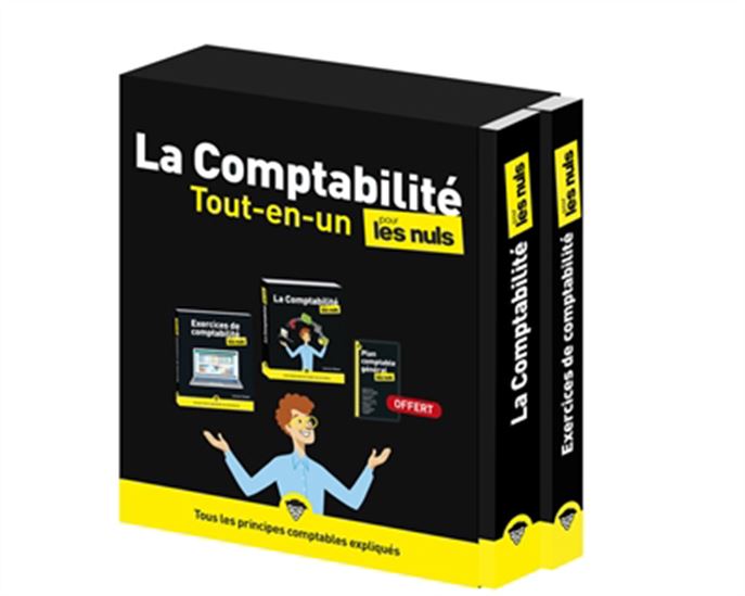 La Comptabilité tout-en-un pour les nuls 2e éd. - LAURENCE THIBAULT
