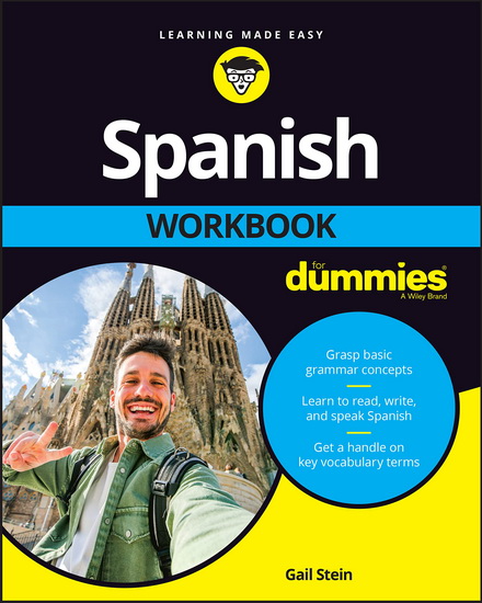 Spanish Workbook For Dummies - STEIN