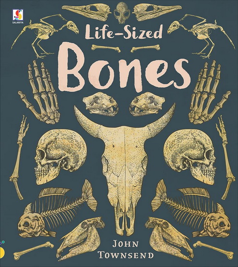 Life Sized Bones - JOHN TOWNSEND