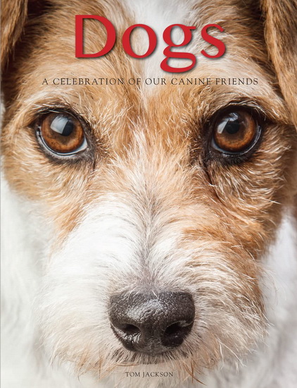 Dogs : A Celebration of Our Canine Friends - TOM JACKSON
