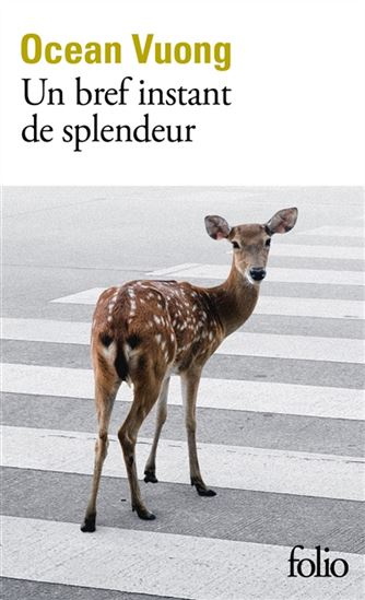 Un bref instant de splendeur - OCEAN VUONG