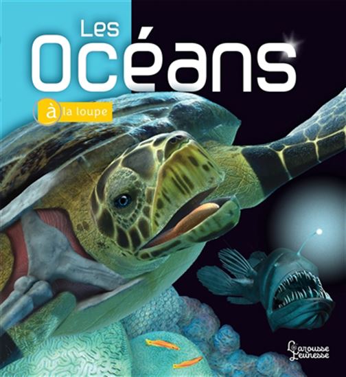 Les Océans N. éd. - BEVERLY C MCMILLAN - JOHN A MUSICK