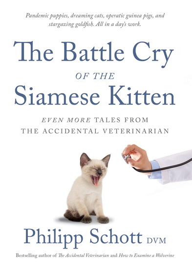 The Battle Cry of the Siamese Kitten - PHILIPP SCHOTT