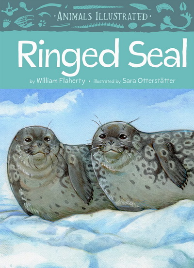 Animals Illustrated: Ringed Seal - WILLIAM FLAHERTY - SARA OTTERSTATTER