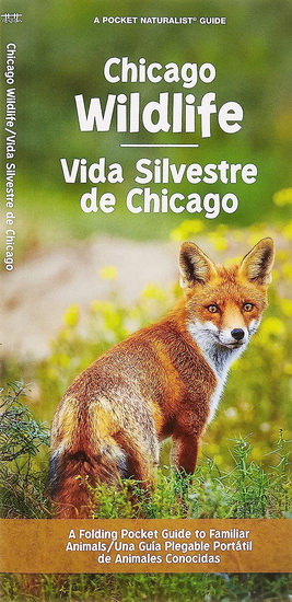 CHICAGO WILDLIFE FAUNA DE CHICAGO - COLLECTIF