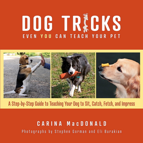 DOG TRICKS EVEN YOU CAN TEACH YOUR PET - CARINA MACDONALD & AL